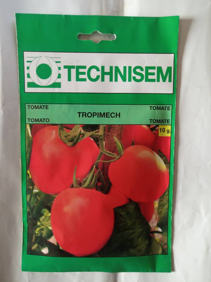 Variétés locales ou adaptées de tomates d’origine sub-saharienne – Image 5