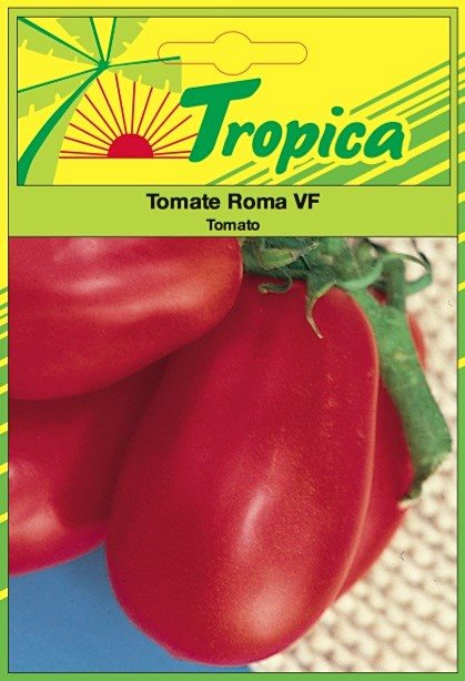 Variétés locales ou adaptées de tomates d’origine sub-saharienne – Image 2