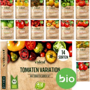 Semence – 14 variétés de graines de tomates