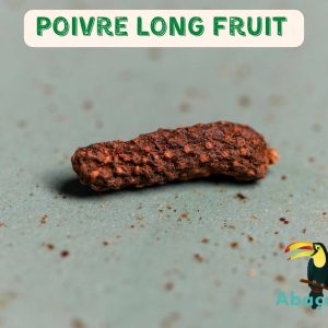 Poivre Long de Java – Indonésie