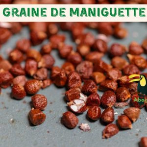 Maniguette – Graines du Paradis