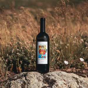 Humagne Blanche 2023 “nuit blanche” 50cl