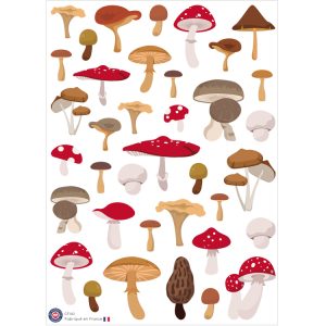 37 gommettes champignons