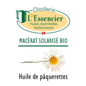 Huile de Pâquerettes (Macérat Solarisé)