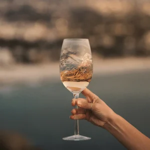 BIB IGP Gard Rouge Instinct