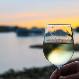 Bib de Vin Blanc Sec – IGP Val de Loire – Sauvignon