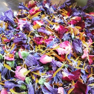 Apprenez à faire votre tisane maison dans un atelier botanique !