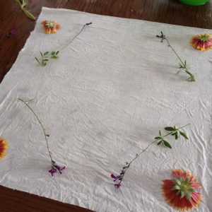 Découvrez l&rsquo;impression végétale dans un atelier zéro déchet