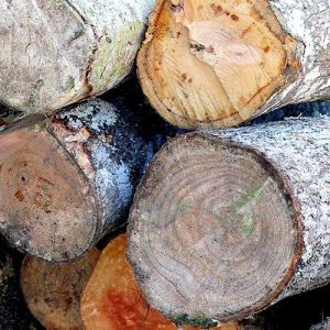 Perches en Bois de Teck