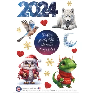 Cadeau collector 2024 💙