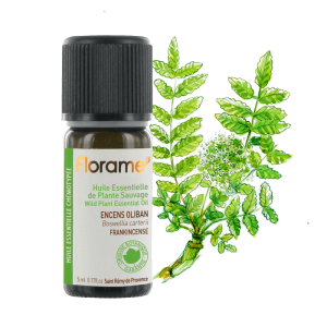Huile essentielle d&rsquo;Encens Oliban Sauvage 5ml