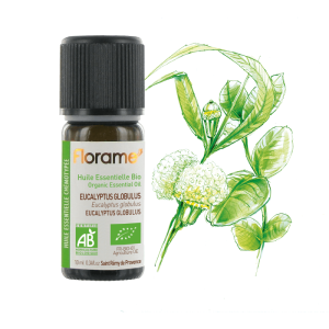 Huile essentielle d&rsquo;Eucalyptus globulus 10ml
