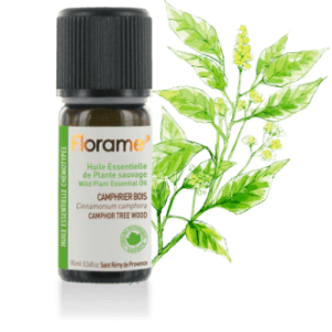 Camphrier Bois Sauvage 10ml