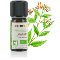 Giroflier Clou Bio 10ml