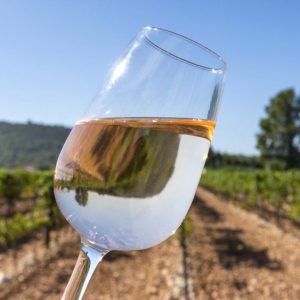 Bib Rosé Gris de Grimaud