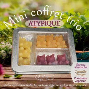 Mini TRIO ATYPIQUE: oursons infusions