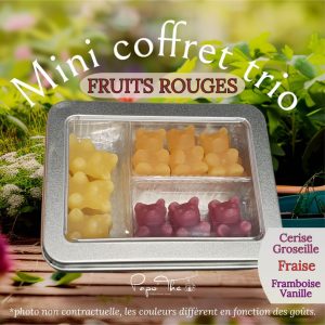 Mini TRIO FRUITS ROUGES: oursons infusions
