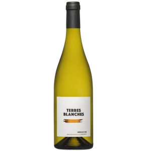 MUSCAT Sec – Terres Blanches – IGP D&rsquo;Oc