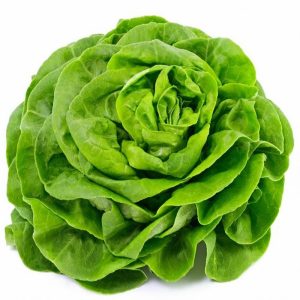 SALADE LAITUE NON TRAITÉE (par unité)