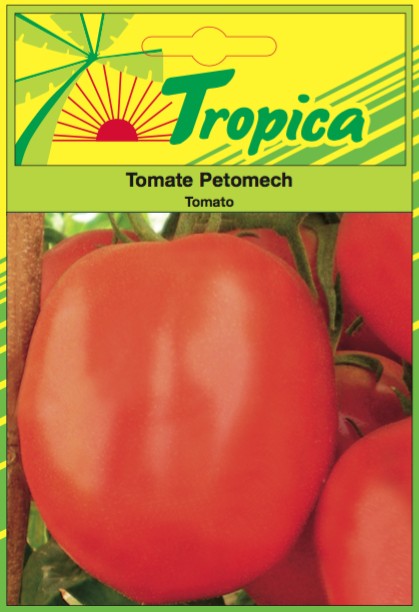 Variétés locales ou adaptées de tomates d’origine sub-saharienne – Image 9